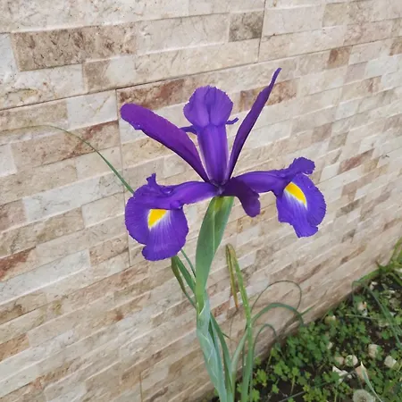 Casa Meraki 別荘